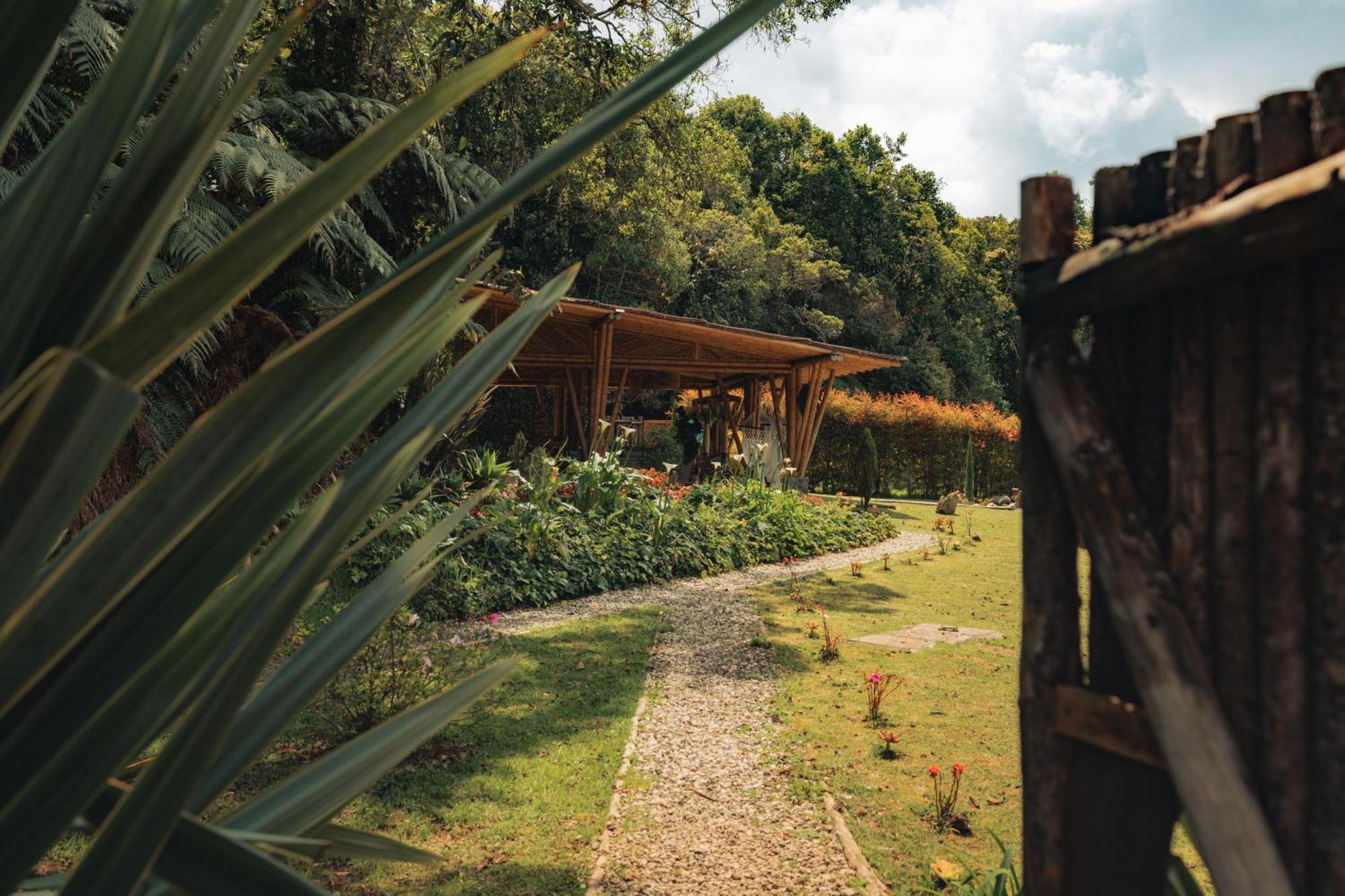 Bubblesky Glamping 15 Min From Medellin Hotel Rionegro Kültér fotó