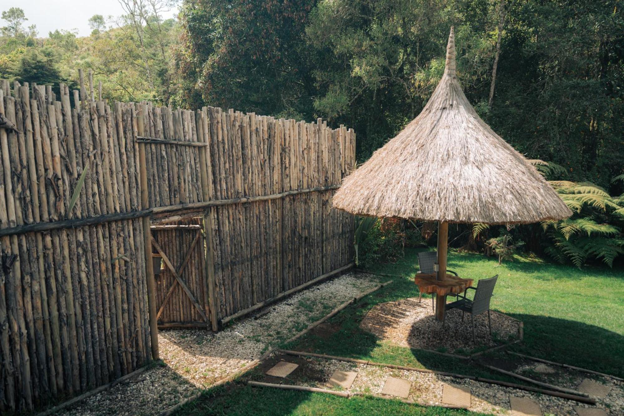 Bubblesky Glamping 15 Min From Medellin Hotel Rionegro Kültér fotó
