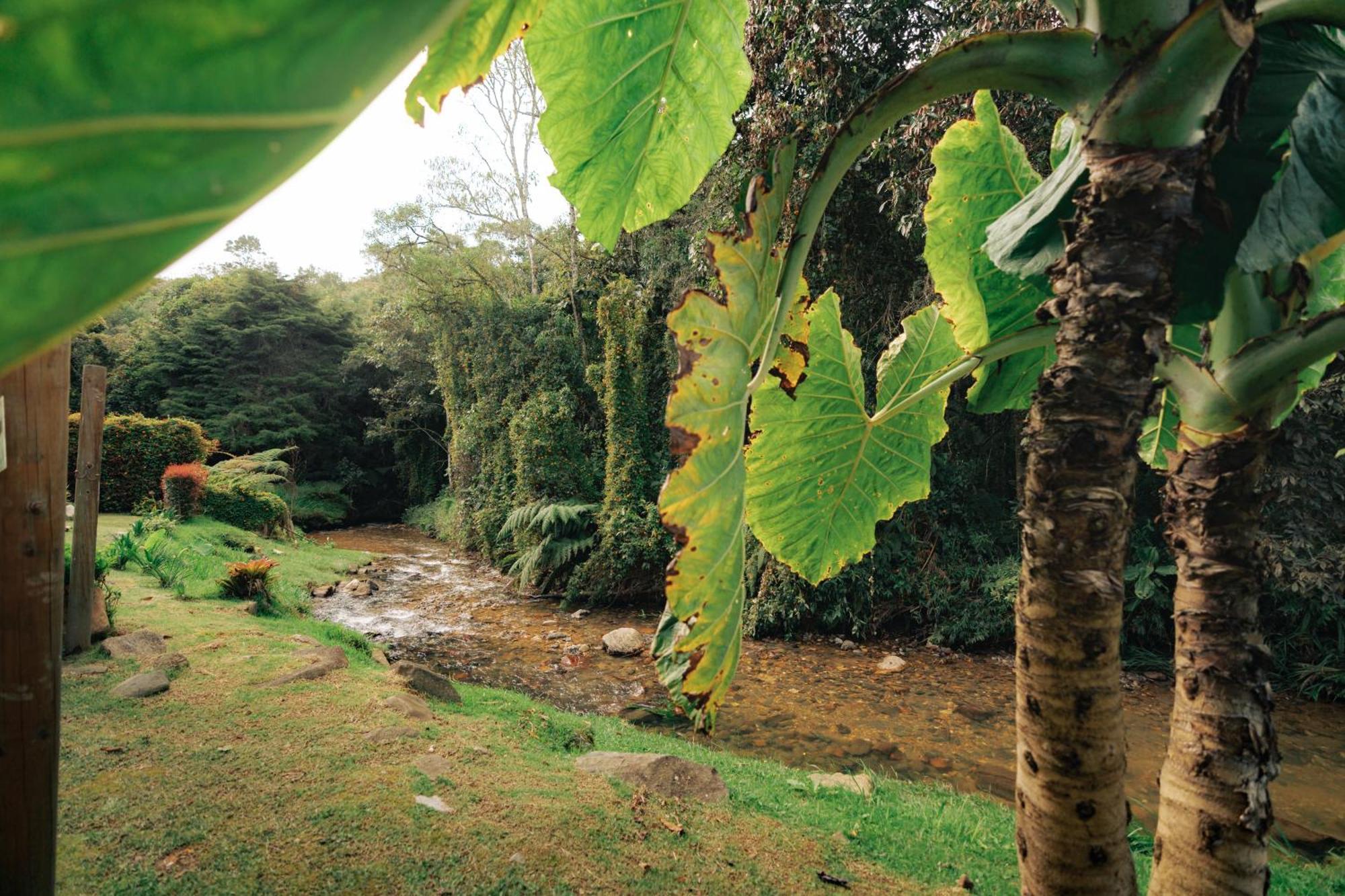 Bubblesky Glamping 15 Min From Medellin Hotel Rionegro Kültér fotó